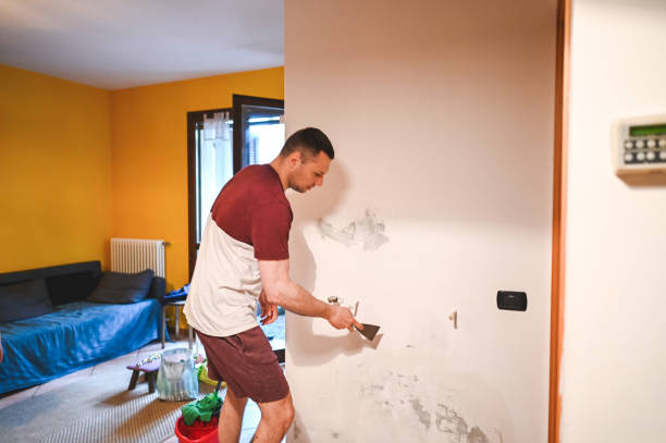 Best Mold Cleaning Services  in Nisswa, MN