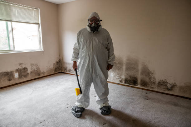 Best Crawl Space Mold Removal  in Nisswa, MN
